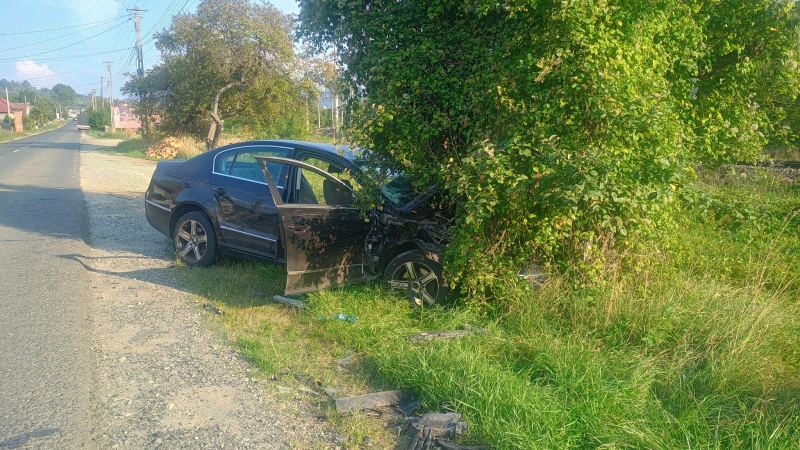 accident Salva 1