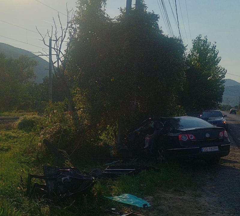 accident Salva 2