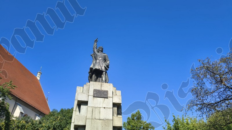 Bistrita statui Andrei Muresanu 5
