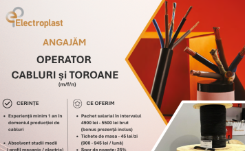 Se fac angajări la Amicii Building unde se caută un Project Manager Senior: NOI locuri de muncă, în Bistrița