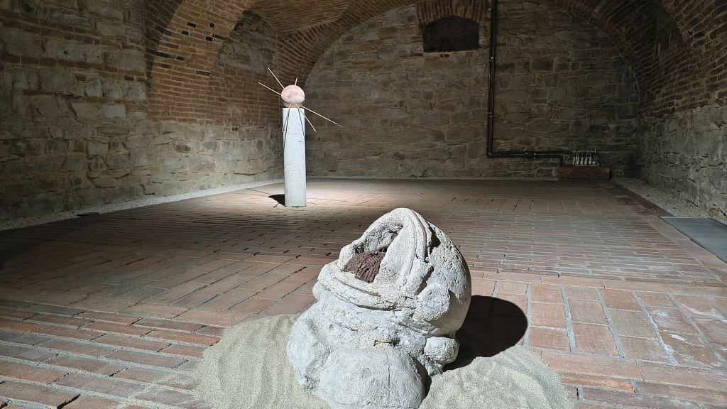 Adrian Piorescu One Small Step Bistrita 10