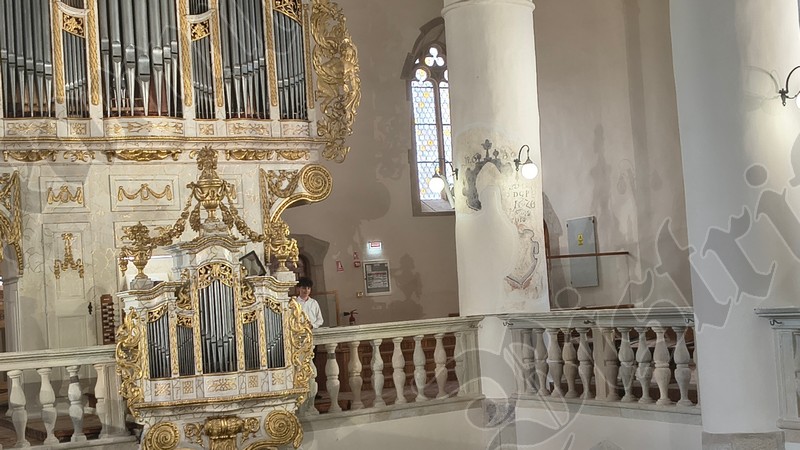 Biserica Evanghelica Victor Vasinca concert orga 10