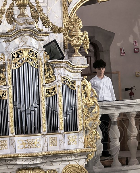 Biserica Evanghelica Victor Vasinca concert orga 11