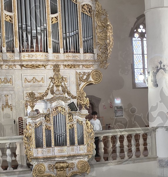 Biserica Evanghelica Victor Vasinca concert orga 12