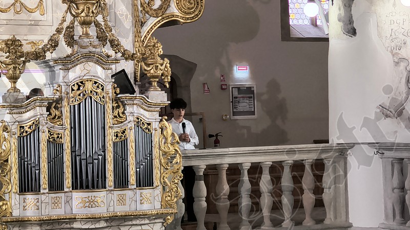 Biserica Evanghelica Victor Vasinca concert orga 14