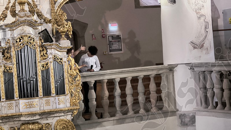Biserica Evanghelica Victor Vasinca concert orga 15