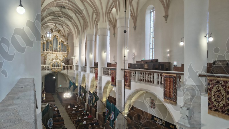 Biserica Evanghelica Victor Vasinca concert orga 8