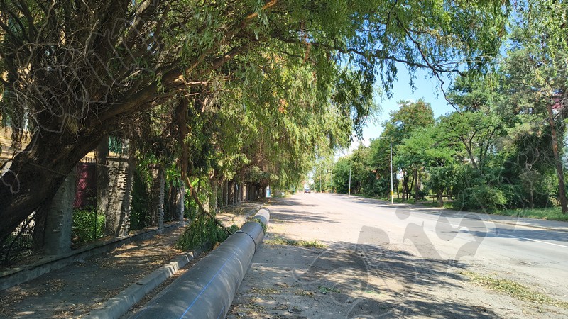 Bistrita Str Industriei pe ganduri 2