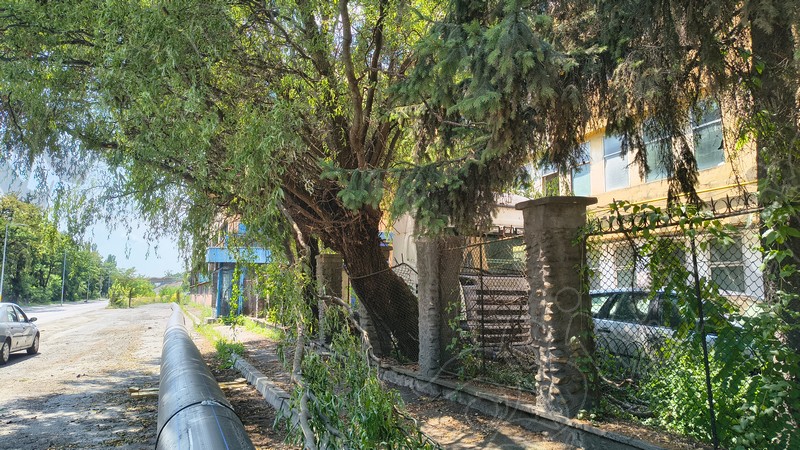 Bistrita Str Industriei pe ganduri 3