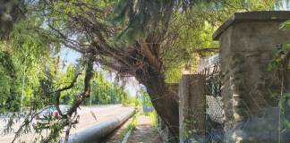 Rostul de dimineață. Atât de copleșit de gânduri, încât mai să dărâme gardul, pe strada Industriei, din Bistrița…