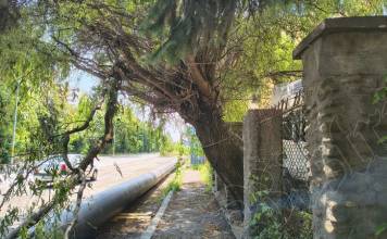 Rostul de dimineață. Atât de copleșit de gânduri, încât mai să dărâme gardul, pe strada Industriei, din Bistrița…