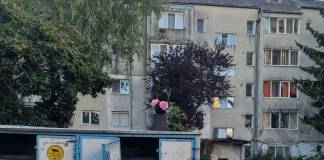 Rostul de dimineață. Cineva și-a uitat buchetul de trandafiri pe tomberon: I s-a părut brusc că nu mai corespunde