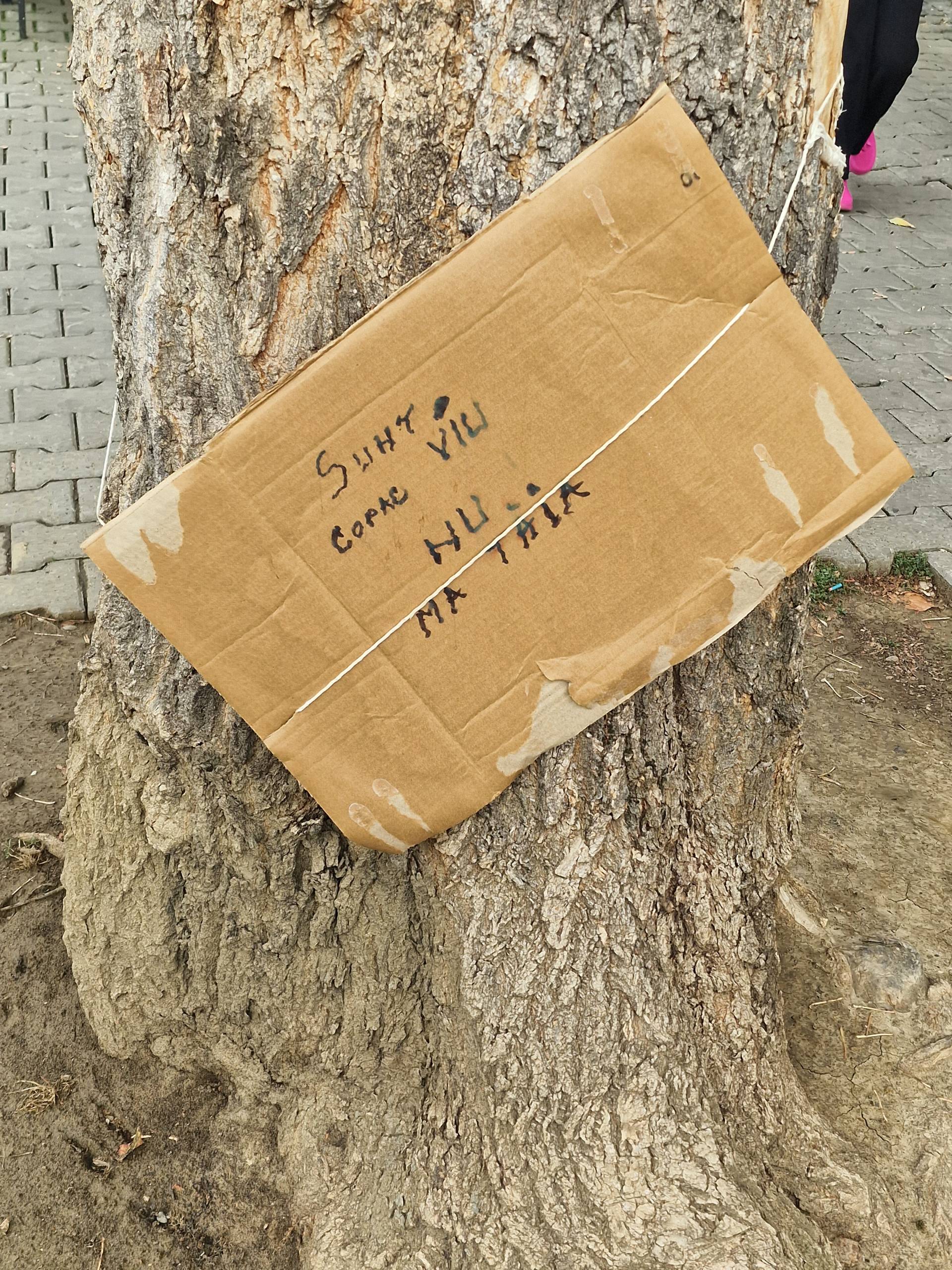 FOTO - ”Protestul” arborilor de pe Pietonal: ”Nu mă tăia! Sunt viu! Trăiesc pe Pietonal!” 1 protest copaci pietonal 3 scaled