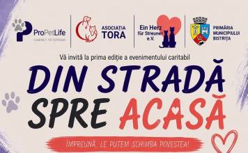 ”Sâmbătă e furtună! Târgul caritabil va avea loc VINERI!” anunță reprezentanții Adăpostului Public Bistrița